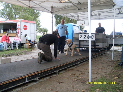 SDC11894.JPG