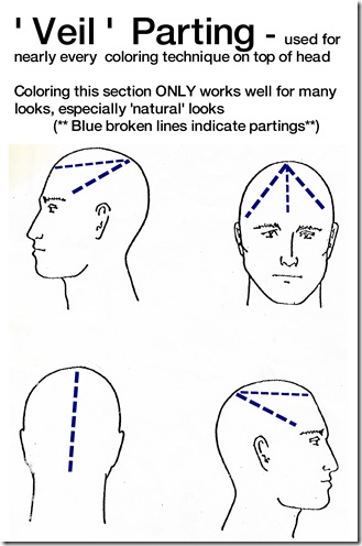 veil parting illustration11 veil parting illustration11