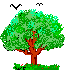 arbres-05