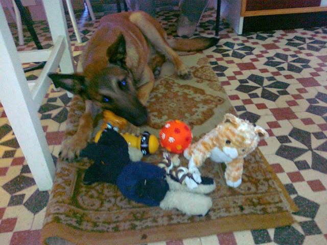 20100509085.jpg