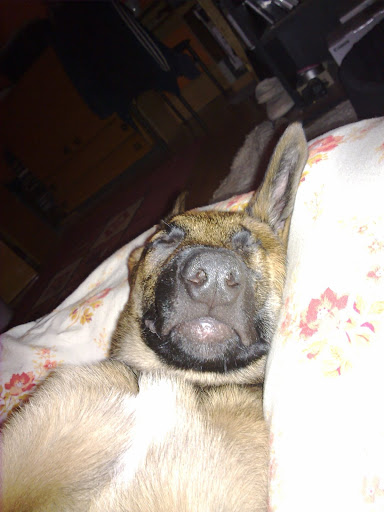 20100119036.jpg