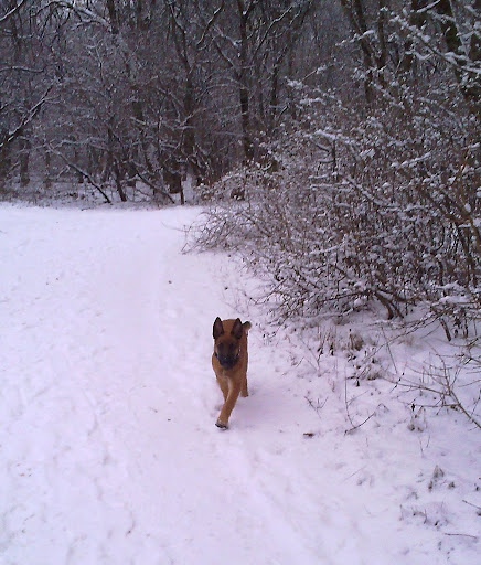 20100120051.jpg