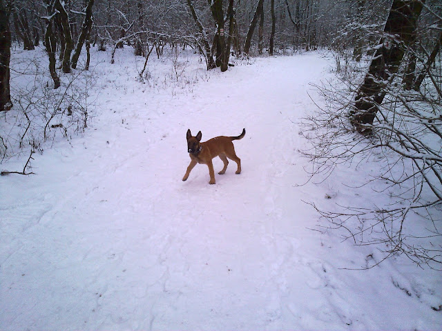 20100120053.jpg
