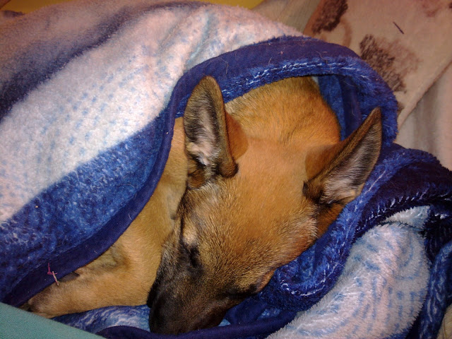 20100124082.jpg