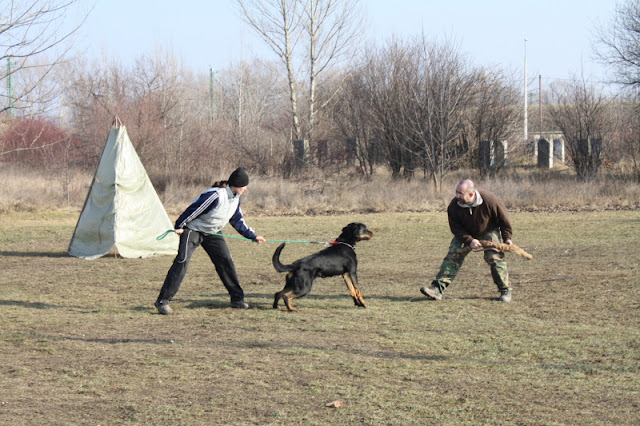 DPP_0012.JPG