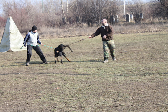 DPP_0015.JPG