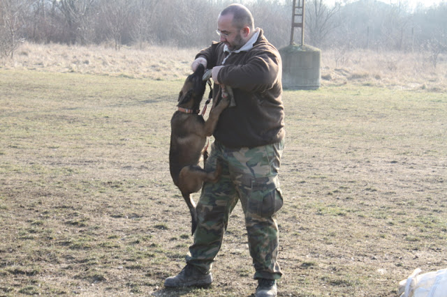 DPP_0062.JPG