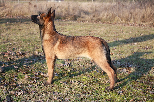 DPP_0267.JPG