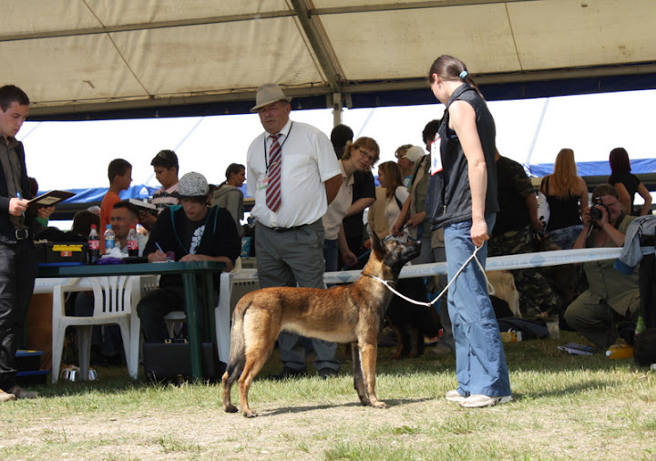 IMG_7358.JPG