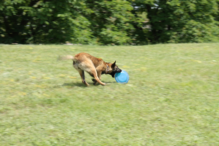IMG_7628.JPG