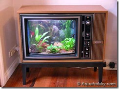 tv-aquarium