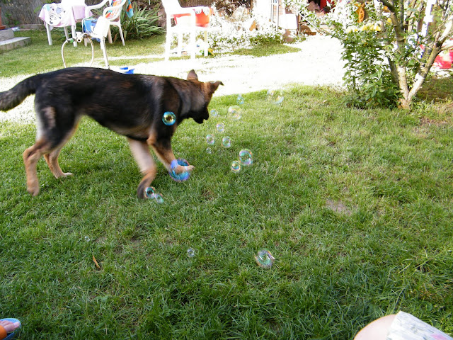 DSCF1047.JPG