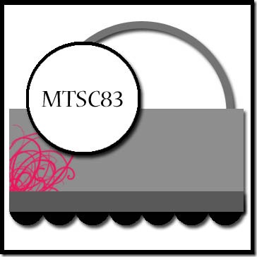 MTSC83