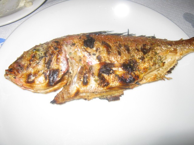 [delphi dinner fish.jpg]