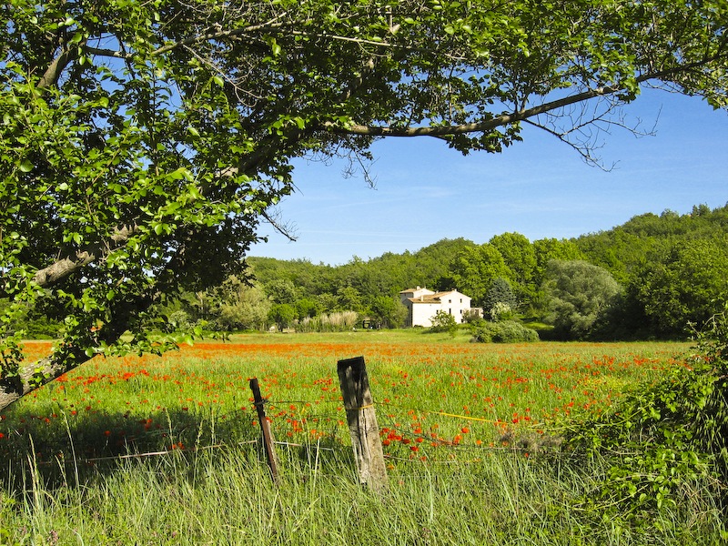 [Countryside, Provence[3].jpg]