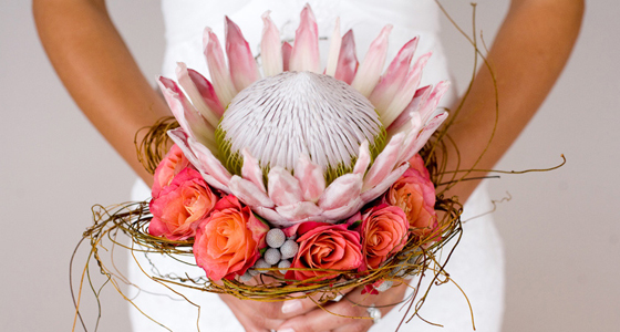 King Protea wedding bouquet 