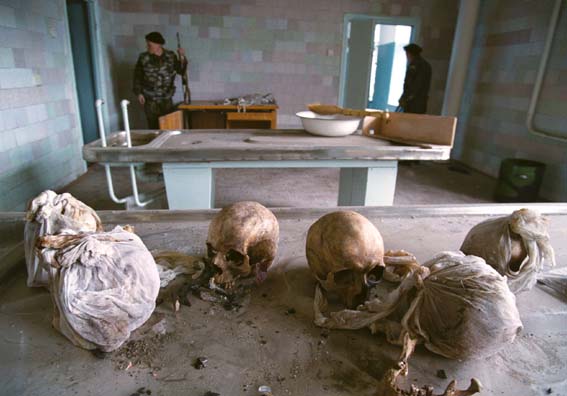 Чеченская война