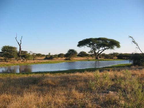 [Botswana_nature[4].jpg]