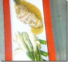 Petto di faraona alla birra con asparagi in tempura