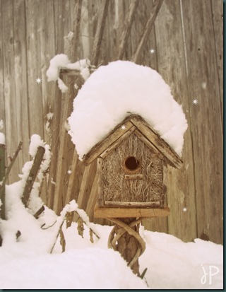 birdhouse in snow wm.jpeg