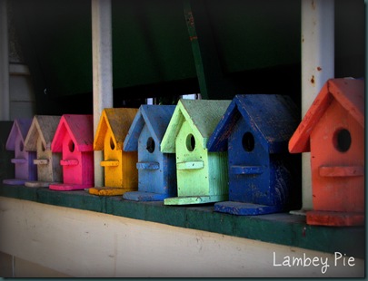 birdhouses wm.jpeg