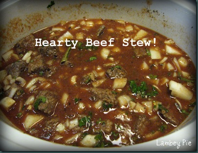 Hearty Beef stew wm.jpeg