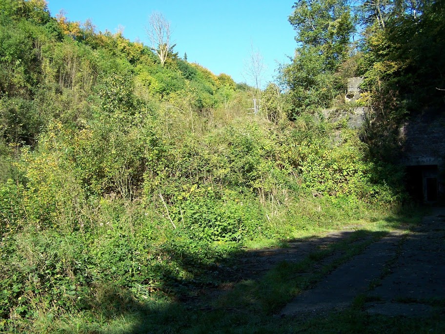 100_0893.JPG