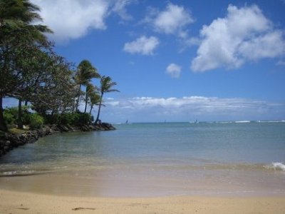 Hawaii Beach Of Vacation 