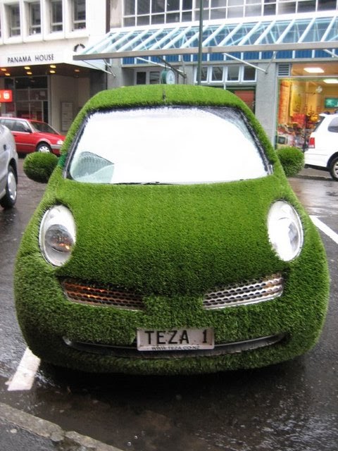 Green Grass Car