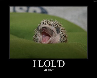 I LOL  motivational poster