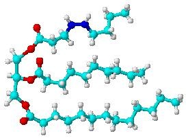 triglyceride_molecule2