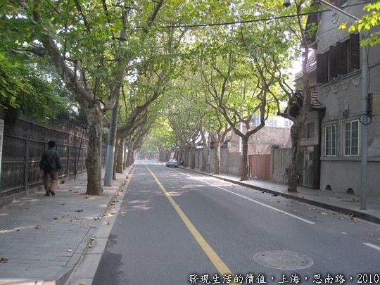 上海，思南路兩旁種滿了法國梧桐，清風徐來，樹影婆娑