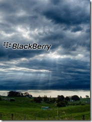 blackberry background 4
