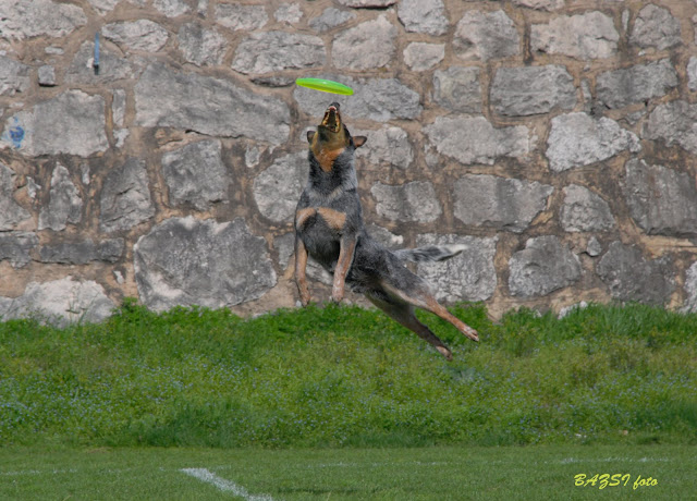 DSC_0023.JPG