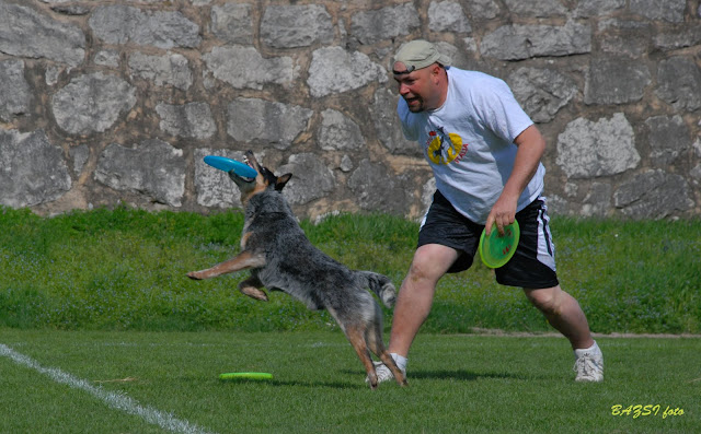 DSC_0029.JPG