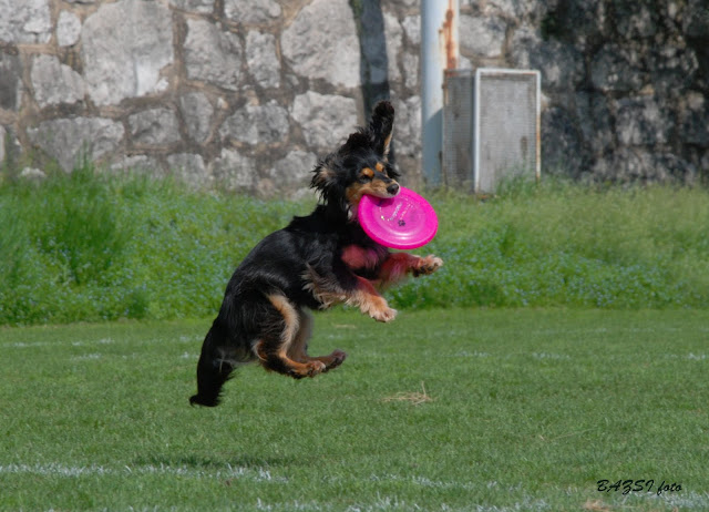 DSC_0119.JPG