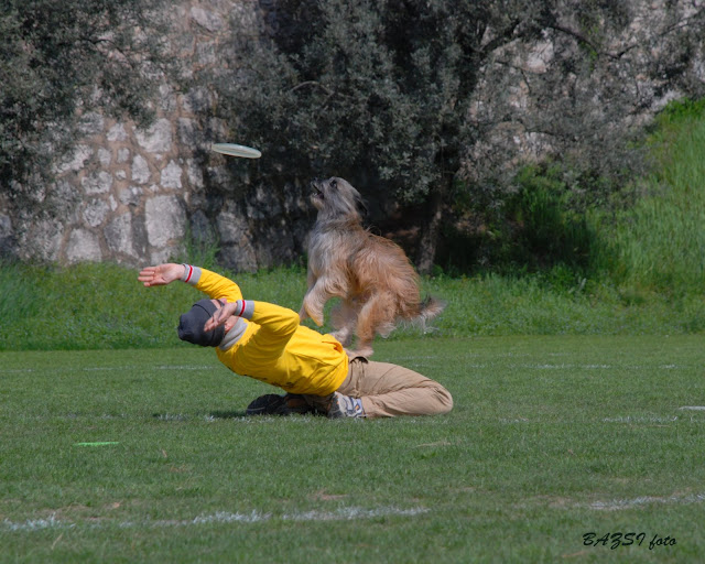 DSC_0220.JPG