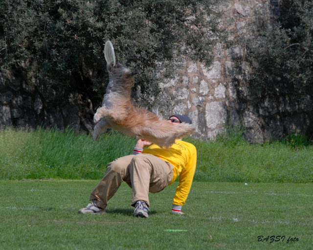 DSC_0224.JPG