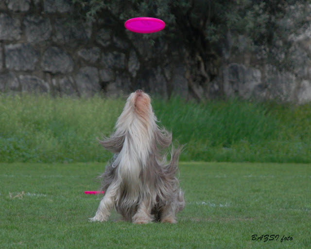 DSC_0332.JPG