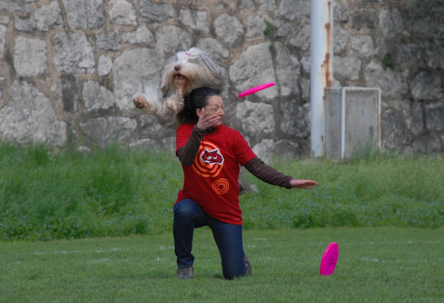 DSC_0355.JPG