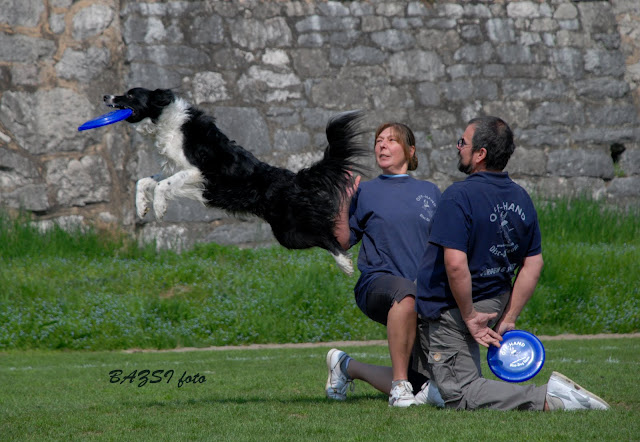 DSC_0169.JPG