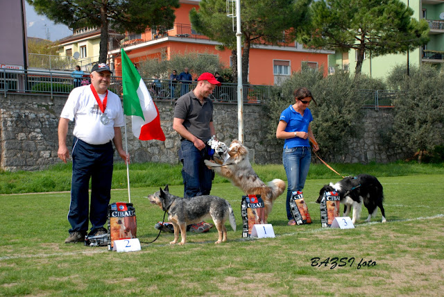 DSC_0432.JPG