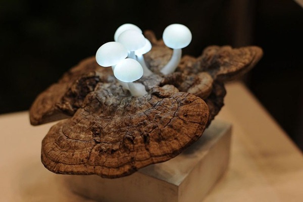 蘑菇造型LED燈_5