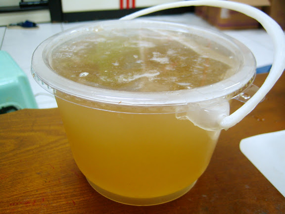 手工现洗爱玉(桶)