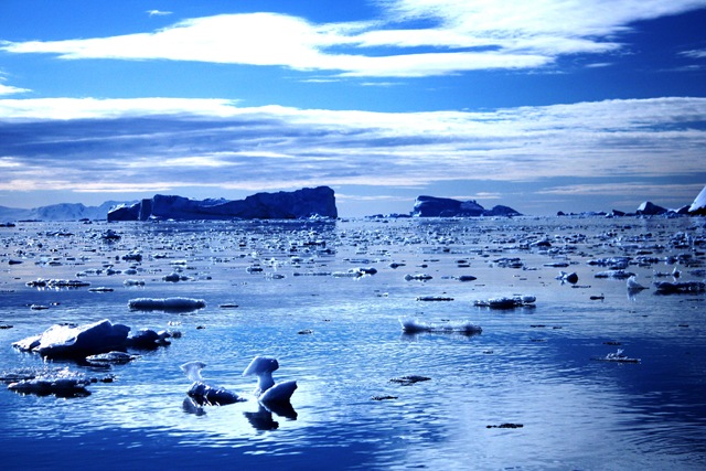 [Blue Sea Of Ice[4].jpg]