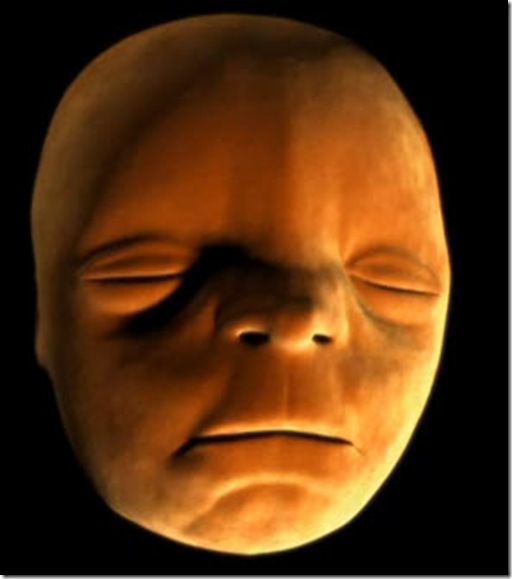cara reconstruida de un nasciturus