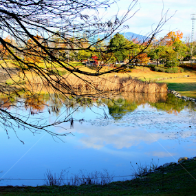 Lake of Sanage by Nurhuda Aprilianto - Uncategorized All Uncategorized