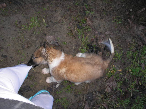 01.10.%20009.jpg