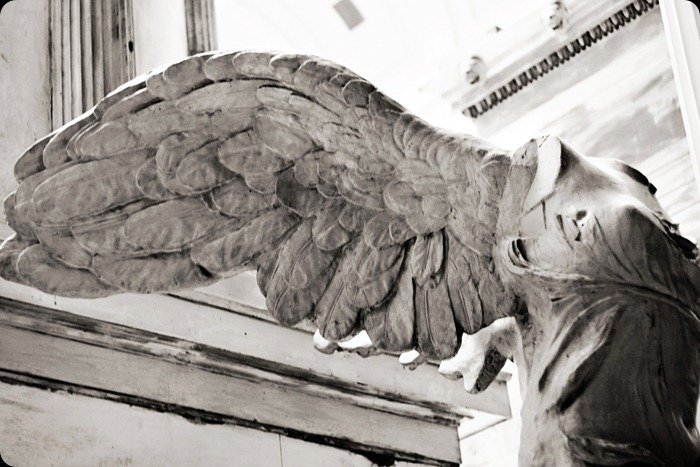 museum angel wing bw