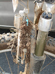 Vektor_foto24_fork.JPG
